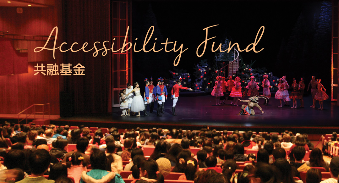 Accessibility Fund Accessibility Fund